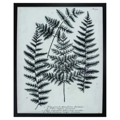 26" X 32" Dark Wood Toned Frame Charcoal Fern Gather I