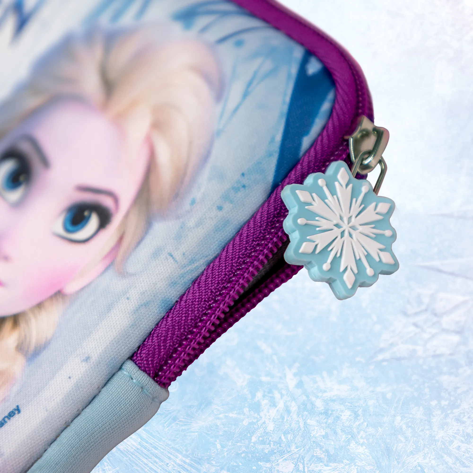 Disney's Frozen Carry Bag