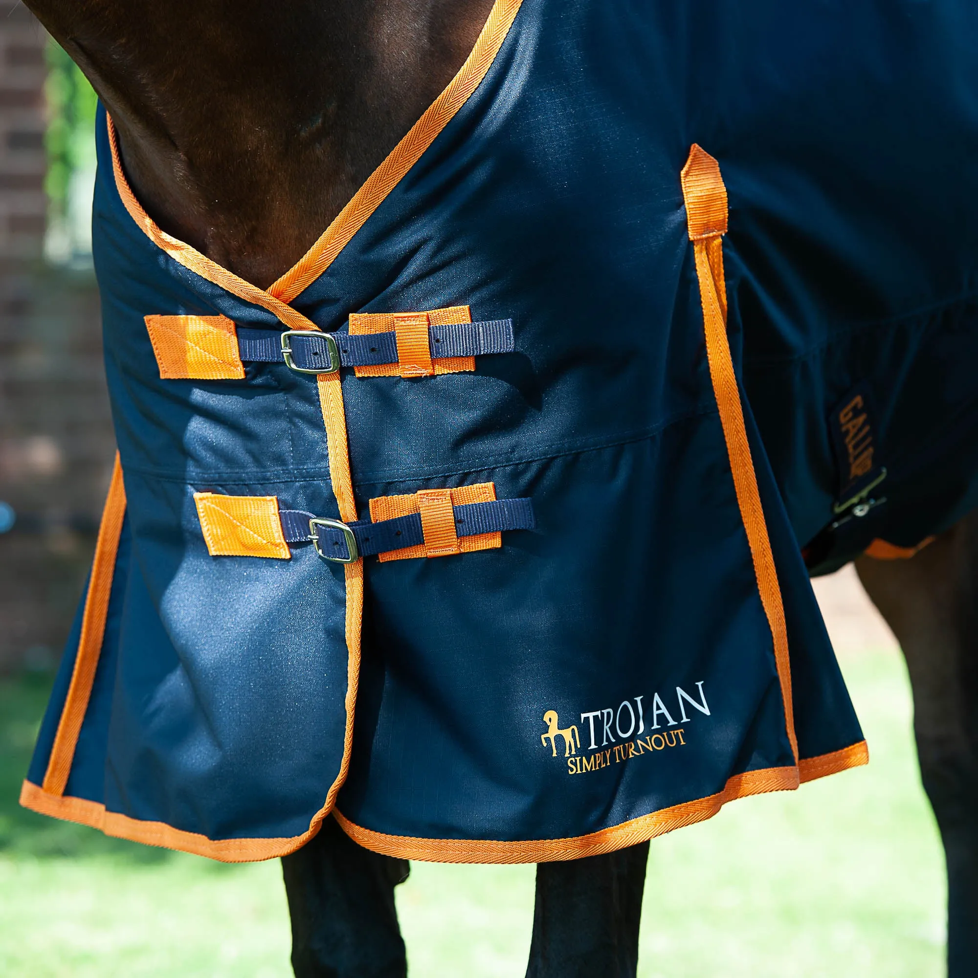 Gallop Trojan 100g Standard Turnout Rug