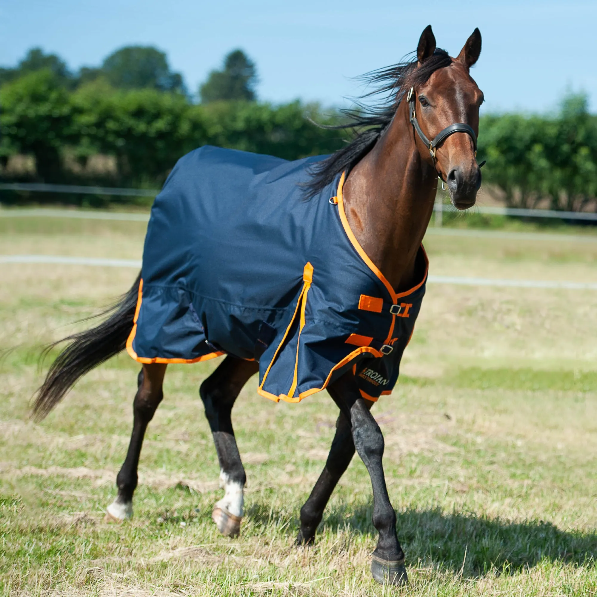 Gallop Trojan 100g Standard Turnout Rug