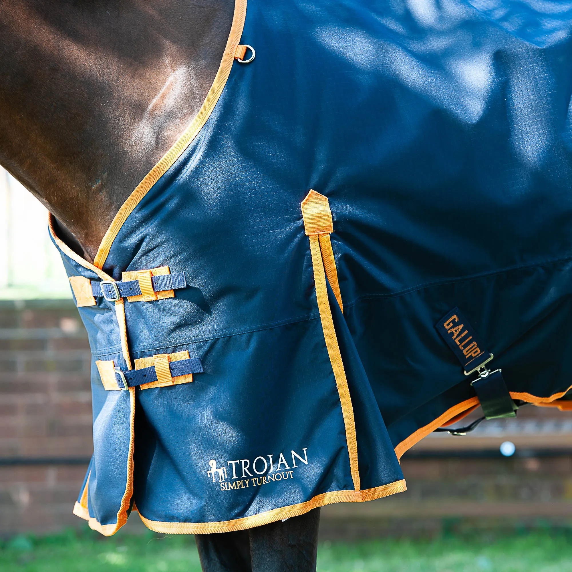 Gallop Trojan 100g Standard Turnout Rug