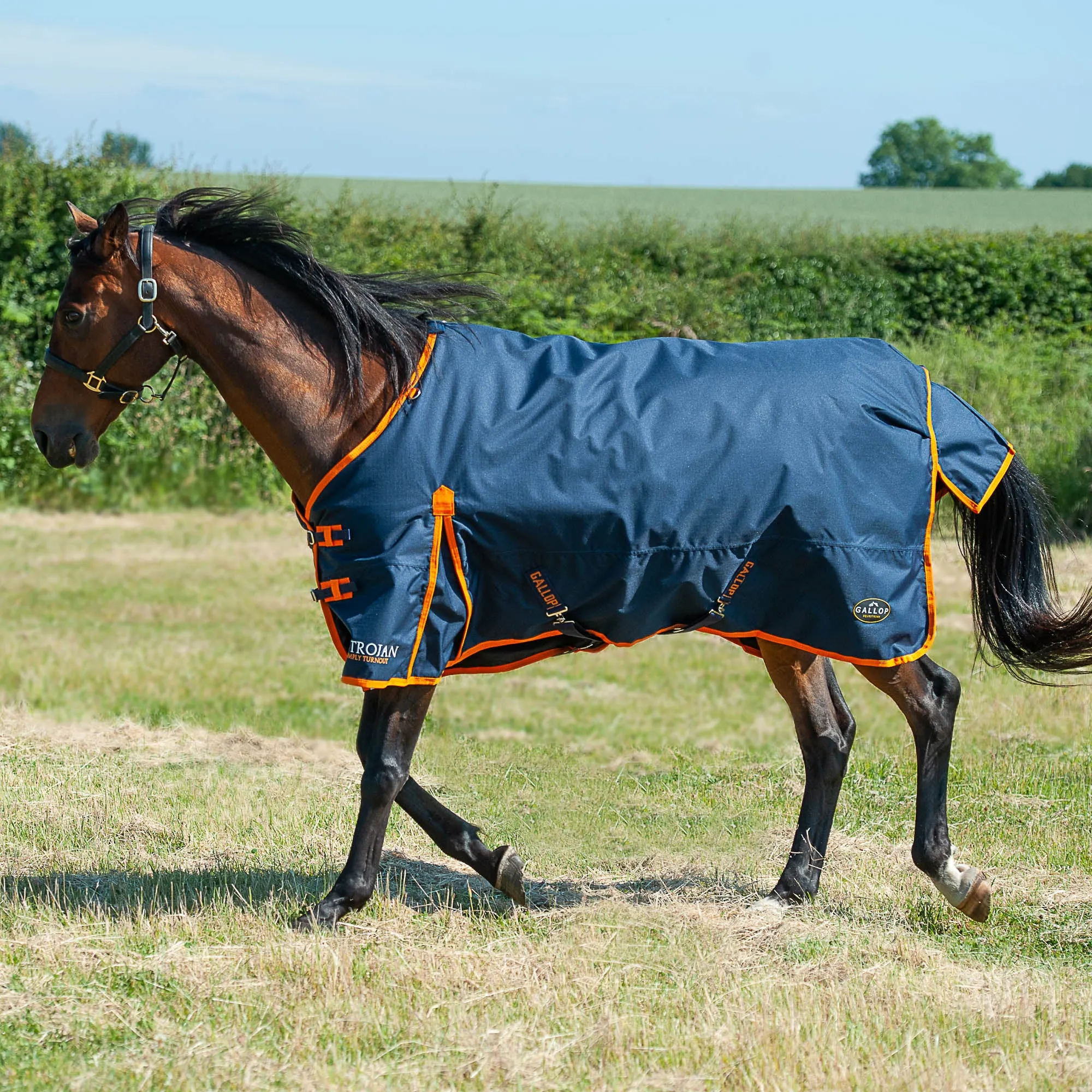 Gallop Trojan 100g Standard Turnout Rug