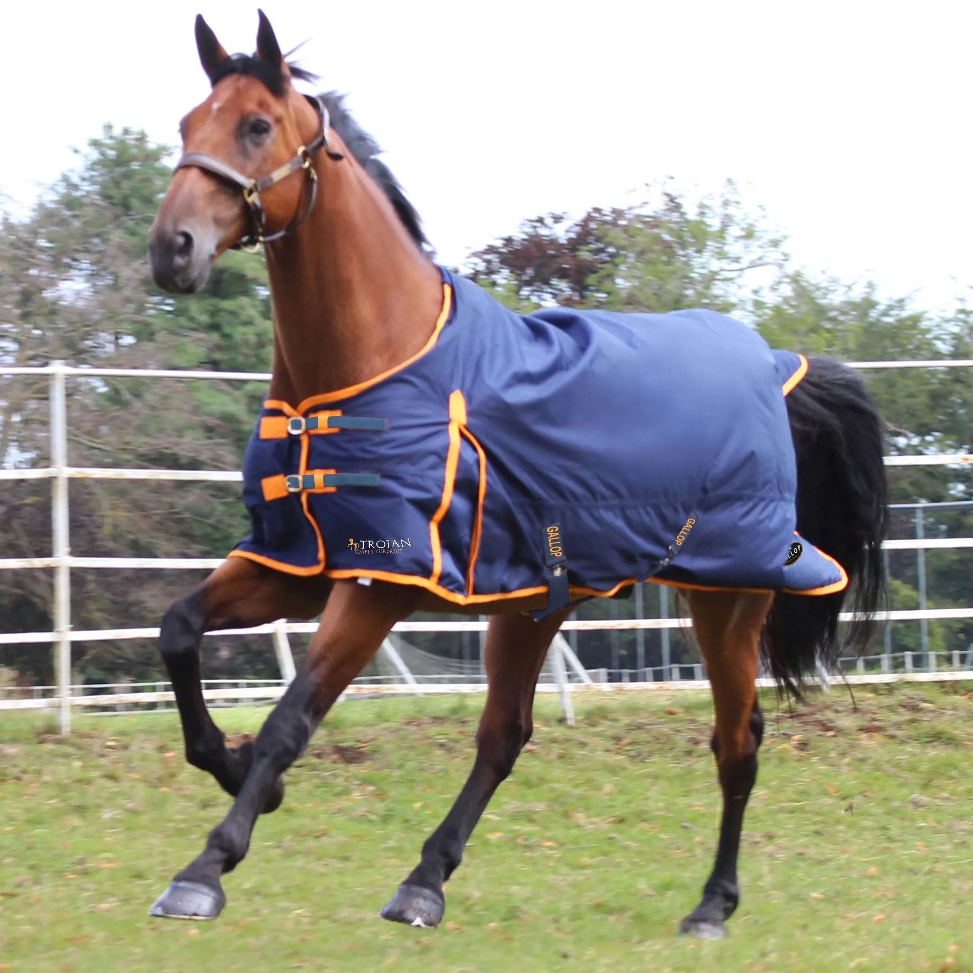 Gallop Trojan 100g Standard Turnout Rug