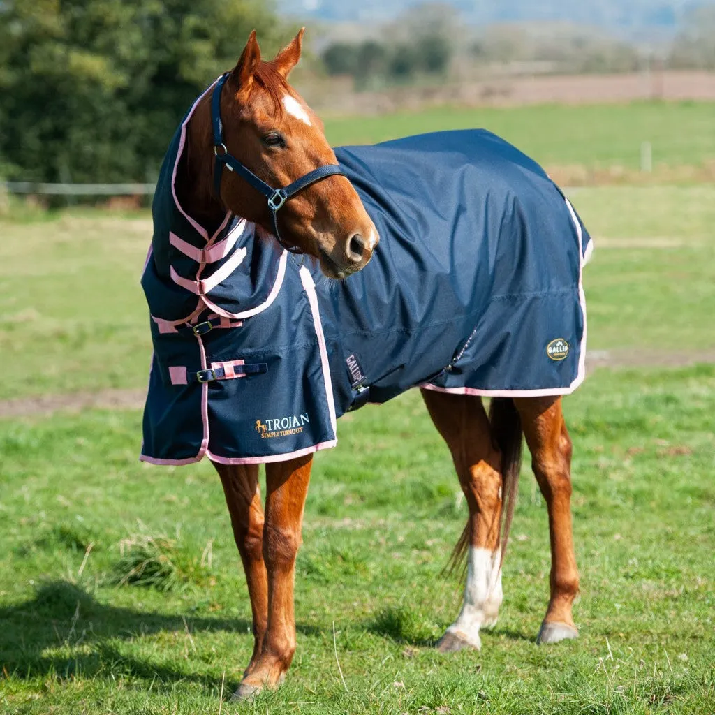 Gallop Trojan 50g Combo Turnout Rug