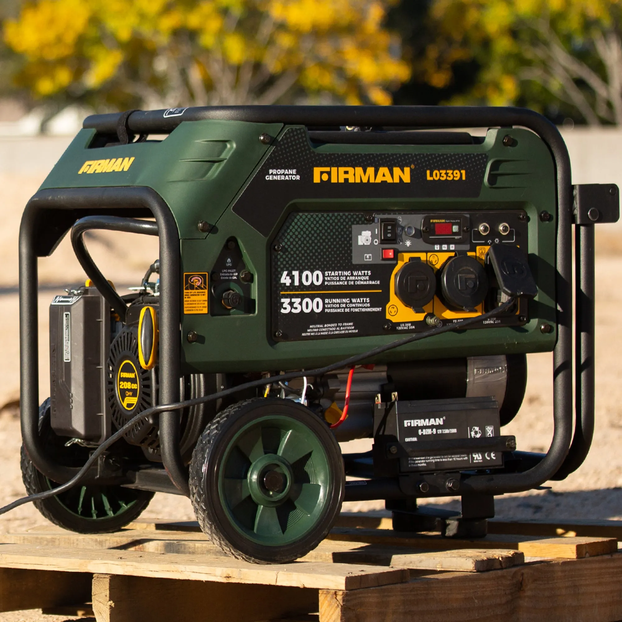 LPG Portable Generator 4100W Electric Start