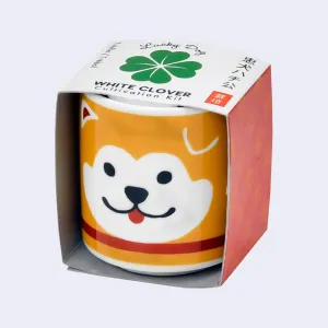 Lucky Plant - Hachi Dog (White Clover)