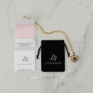 Luxury Jewellery Care Kit