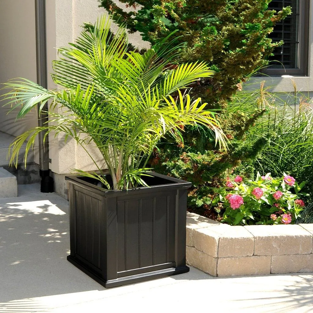 Mayne Cape Cod 20x20 Square Planter