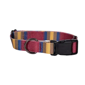 Pendleton Park Adventure Collar | Zion