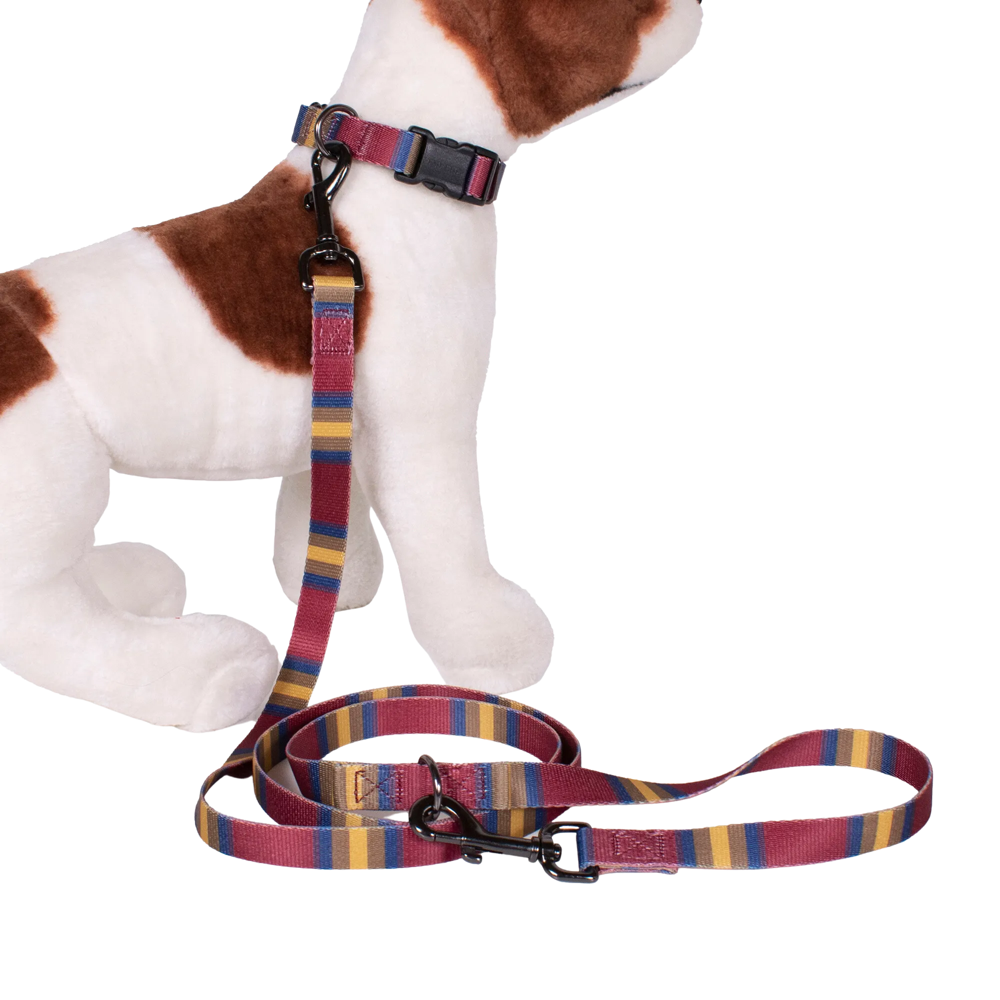 Pendleton Park Adventure Collar | Zion