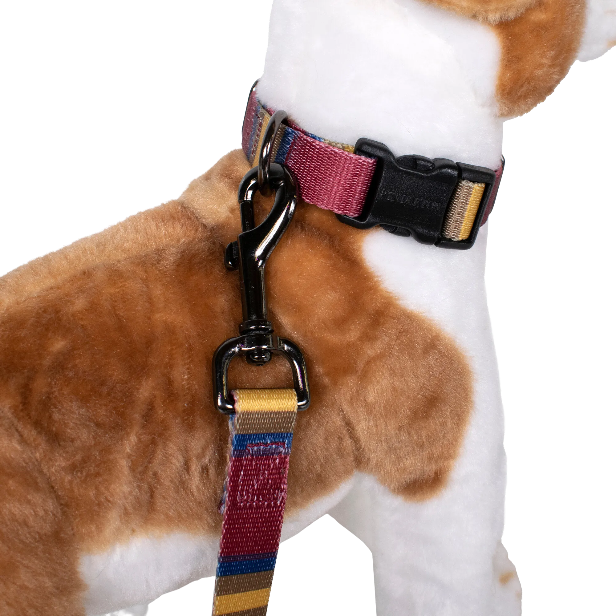 Pendleton Park Adventure Collar | Zion