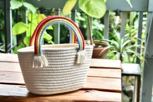 Rainbow Handbag