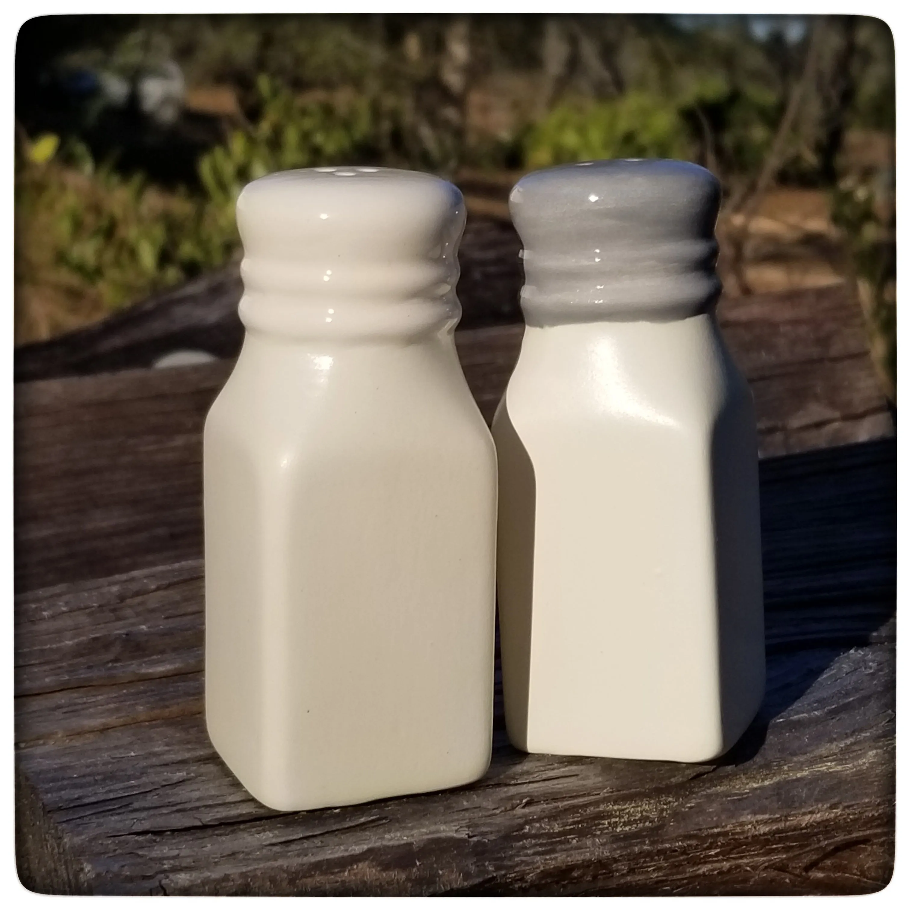 Salt & Pepper shakers