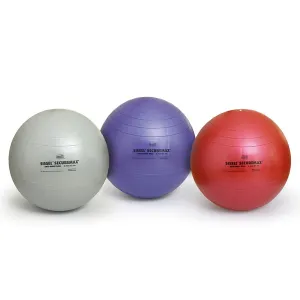 Sissel Securemax Exercise Ball