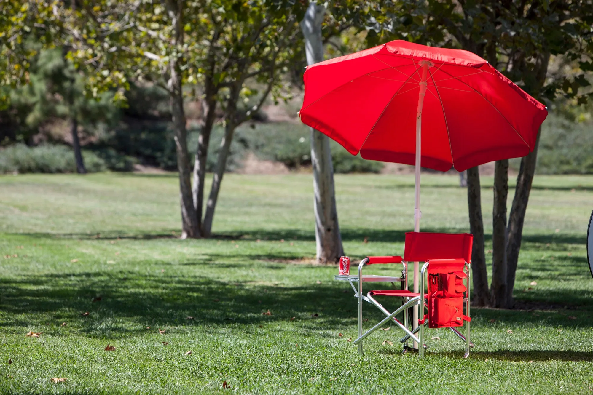 Stanford Cardinal - Sports Chair